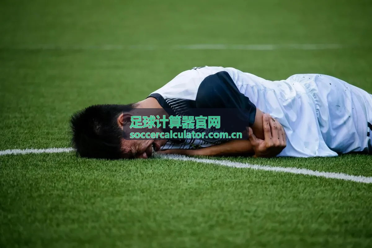 足球计算器官网赛季复盘数据