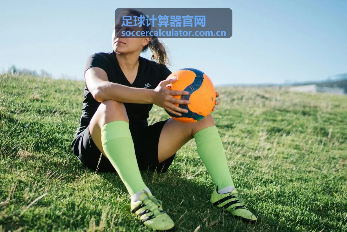 足球计算器官网数据看板界面